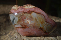 Polished One Side Polished Polychrome Jasper Nodules  x 6 From Mahajanga, Madagascar - Toprock Gemstones and Minerals 
