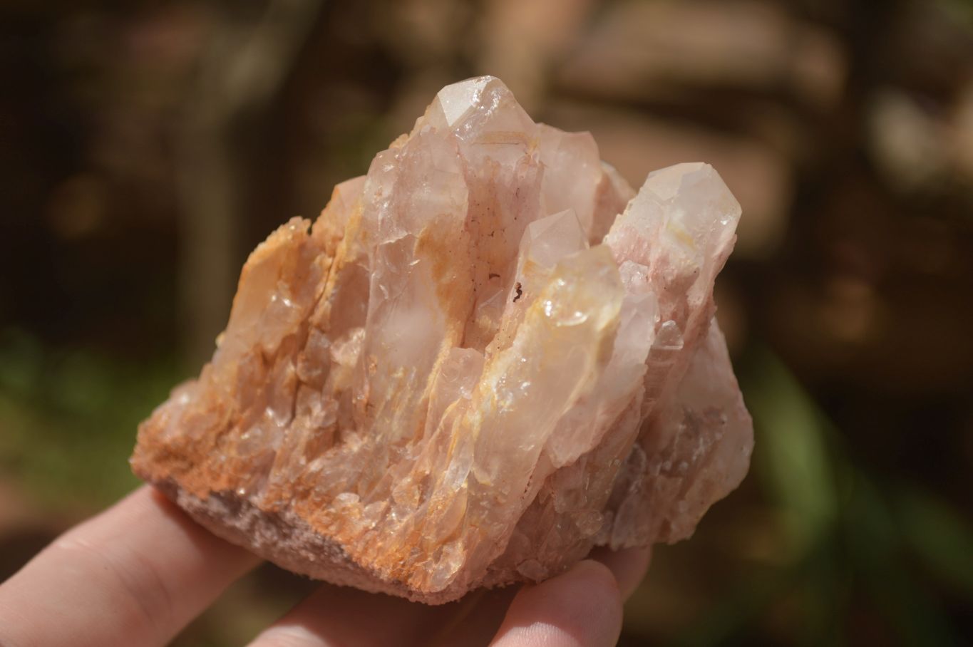 Natural Candle Quartz Clusters  x 5 From Madagascar - TopRock