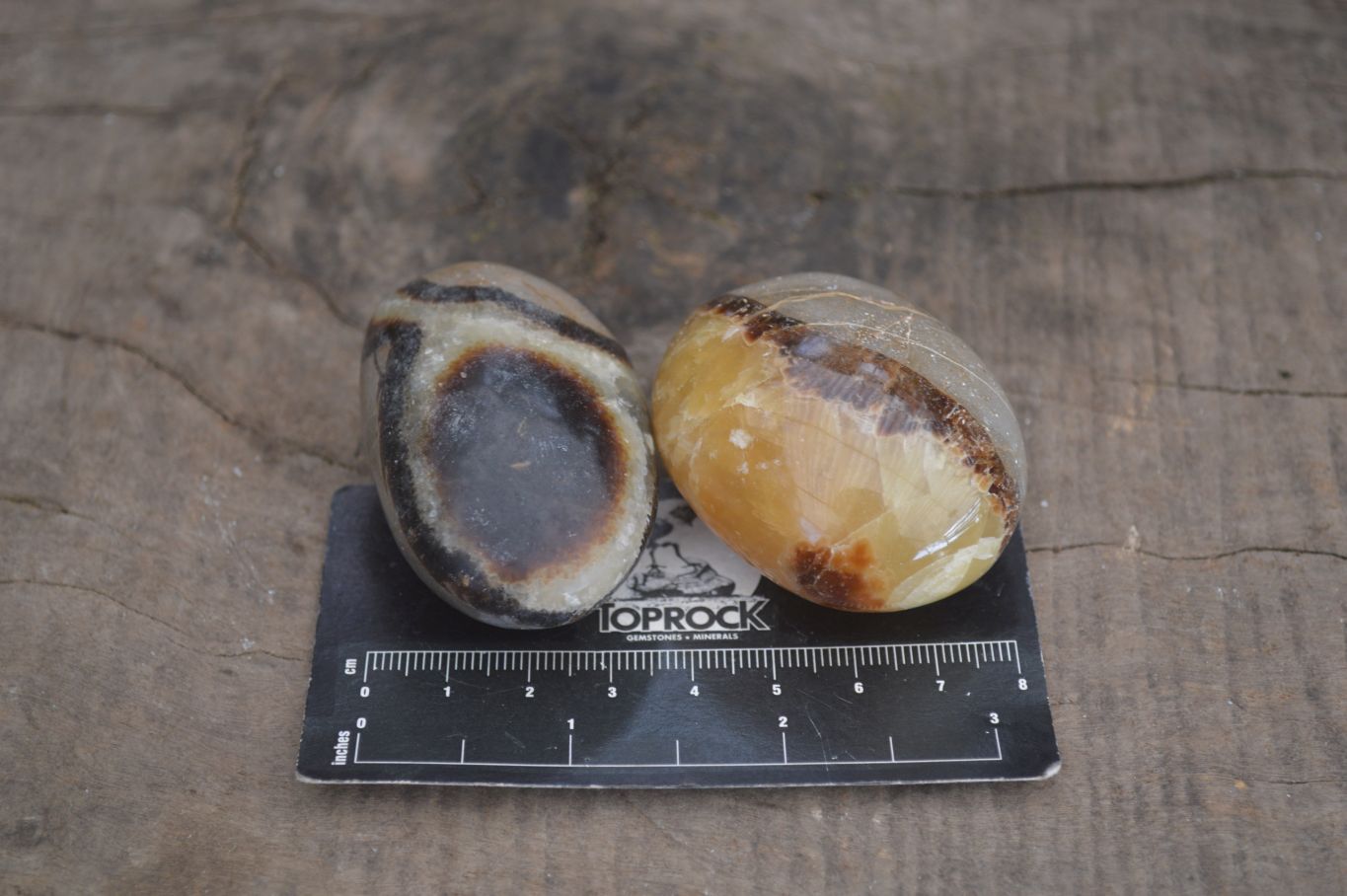 Polished Septaria Palm Stones x 12 From Mahajanga, Madagascar - Toprock Gemstones and Minerals 