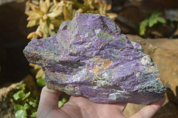 Natural Rough Stichtite & Serpentine Specimens x 2 From Barberton, South Africa