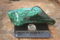 Polished Malachite Free Forms x 3 From Kolwezi, Congo - Toprock Gemstones and Minerals 