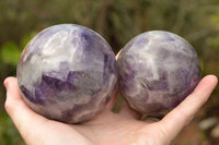 Polished Pair Of Dream Amethyst Spheres  x 2 From Madagascar - TopRock
