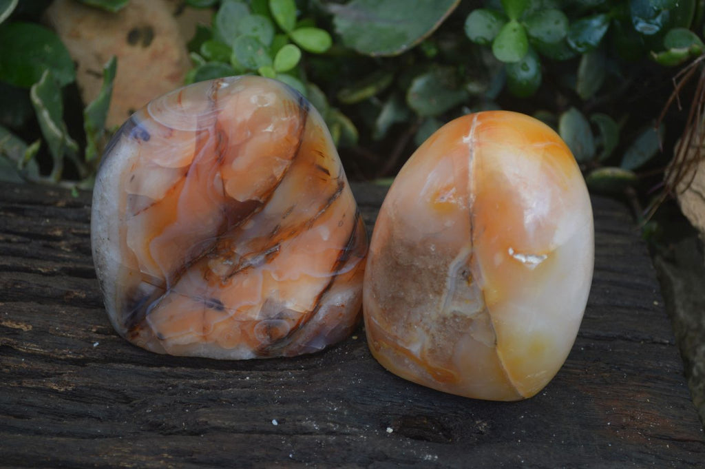 Polished Carnelian Agate Standing Free Forms  x 2 From Madagascar - Toprock Gemstones and Minerals 
