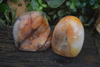 Polished Carnelian Agate Standing Free Forms  x 2 From Madagascar - Toprock Gemstones and Minerals 