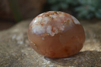 Polished Ocean  Flower Agate Palm Stones  x 12 From Madagascar - Toprock Gemstones and Minerals 