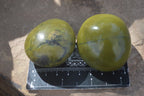Polished Large Green Opal Palm Stones  x 12 From Antsirabe, Madagascar - Toprock Gemstones and Minerals 