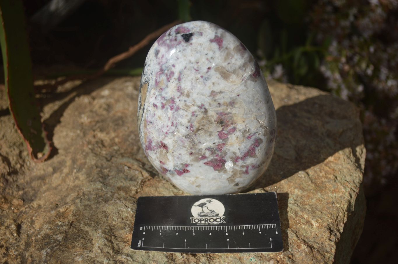 Polished Rubellite Pink Tourmaline Matrix Standing Free Forms x 2 From Madagascar - Toprock Gemstones and Minerals 
