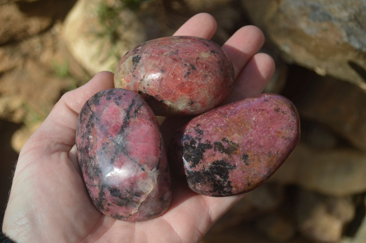 Polished Rhodonite Galet / Palm Stones x 12 From Zimbabwe - Toprock Gemstones and Minerals 