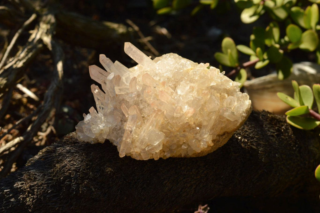 Natural Mixed Selection Of Small Quartz Clusters  x 24 From Madagascar - TopRock
