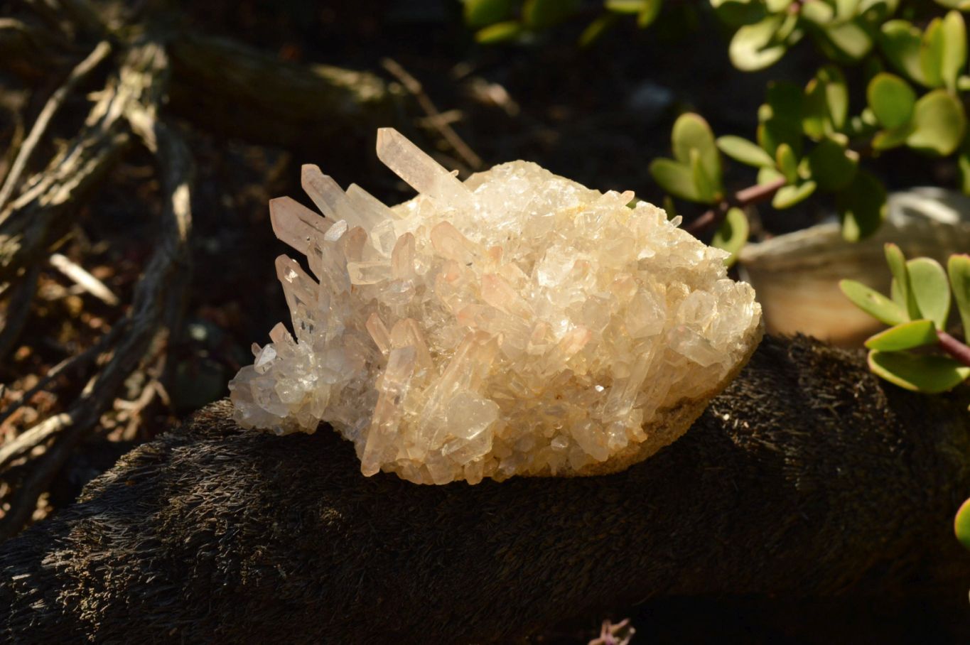 Natural Mixed Selection Of Small Quartz Clusters  x 24 From Madagascar - TopRock