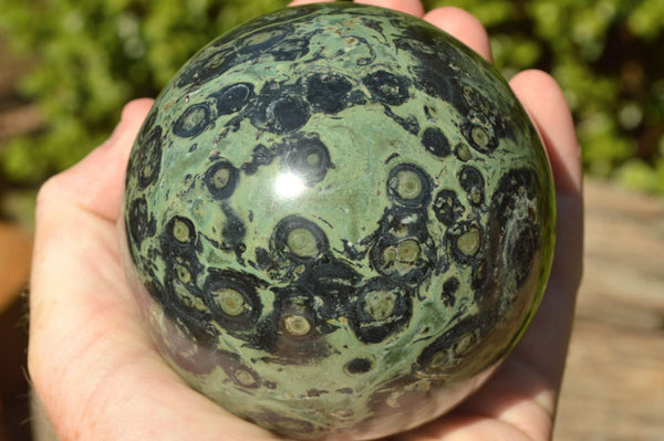 Polished Stromatolite Kombamba Jasper Spheres  x 2 From Madagascar - TopRock