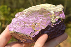 Natural Rare Metallic Purpurite Cobbed Specimens  x 2 From Namibia - TopRock