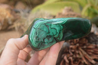 Polished Malachite Free Forms x 3 From Kolwezi, Congo - Toprock Gemstones and Minerals 