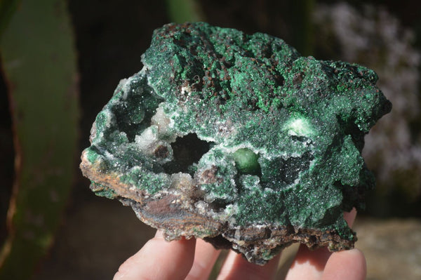 Natural Rare Ball Malachite On Drusy Quartz & Dolomite Specimens x 3 From Kambove, Congo - Toprock Gemstones and Minerals 