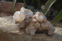 Natural Cascading Smokey Quartz Clusters x 2 From Luena, Congo - Toprock Gemstones and Minerals 