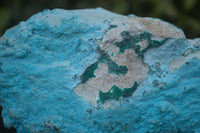 Natural Botryoidal Chrysocolla Specimens x 2 From Congo - Toprock Gemstones and Minerals 
