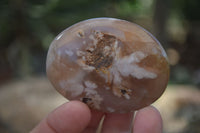 Polished Ocean  Flower Agate Palm Stones  x 12 From Madagascar - Toprock Gemstones and Minerals 