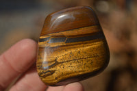 Polished Golden Tigers Eye Free Forms x 12 From Prieska, Northern Cape - Toprock Gemstones and Minerals 
