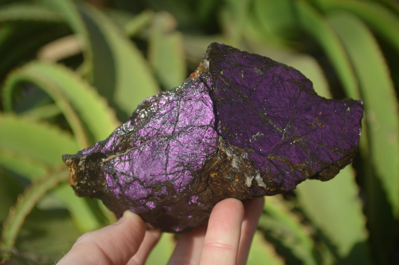 Natural Metallic Purpurite Cobbed Specimens x 3 From Erongo, Namibia - Toprock Gemstones and Minerals 