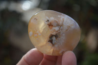 Polished Ocean  Flower Agate Palm Stones  x 12 From Madagascar - Toprock Gemstones and Minerals 