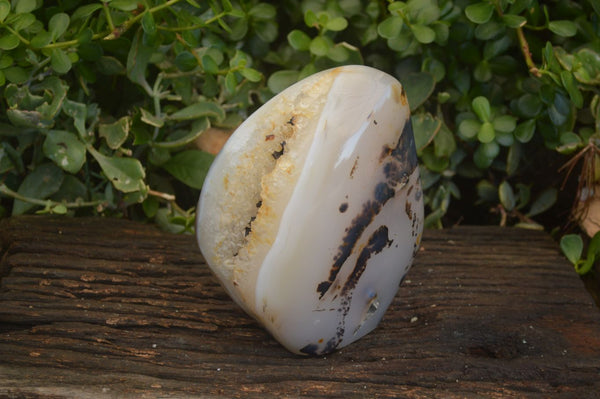 Polished Moralambo Dendrite Crystalline Agate Standing Free Form x 1 From Madagascar - Toprock Gemstones and Minerals 