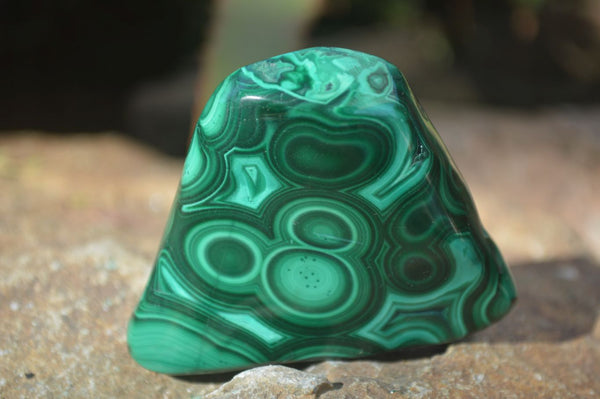 Polished Flower & Banded Malachite Free Forms  x 12 From Congo