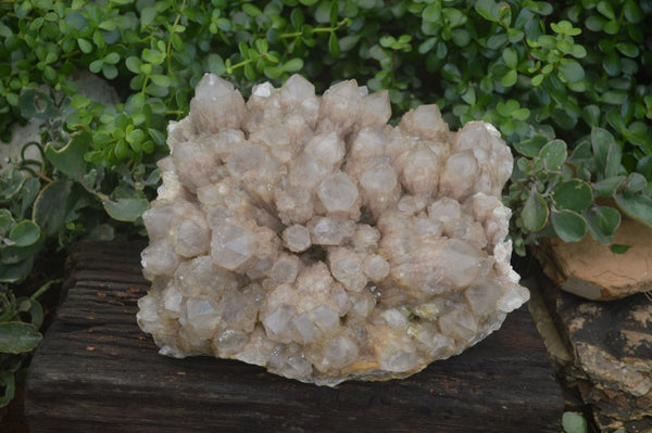 Natural Extra Large Cascading White Phantom Smokey Quartz Cluster  x 1 From Luena, Congo - Toprock Gemstones and Minerals 