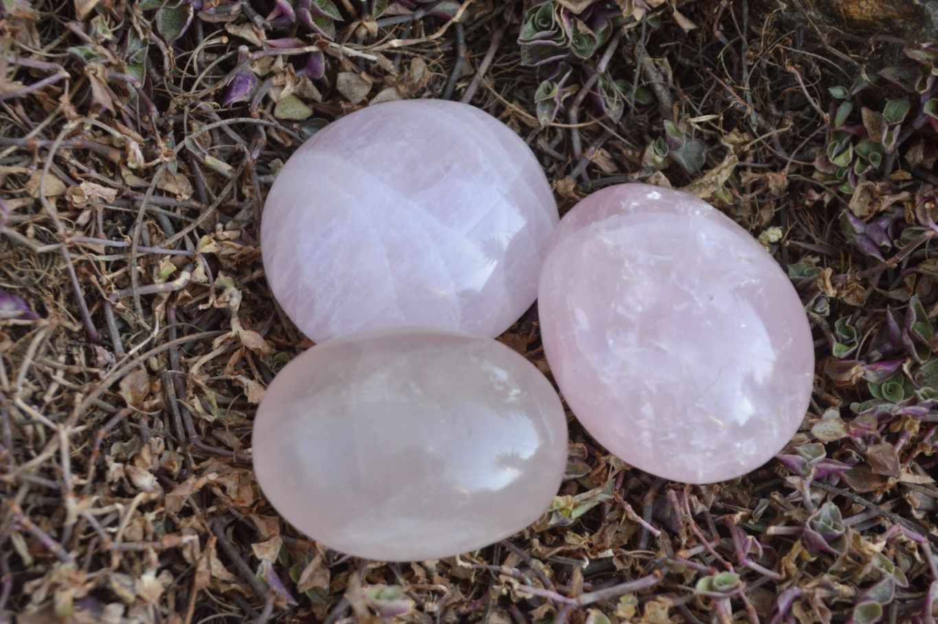 Polished Highly Selected Gemmy Pink Rose Quartz Palm Stones x 24 From Madagascar - TopRock