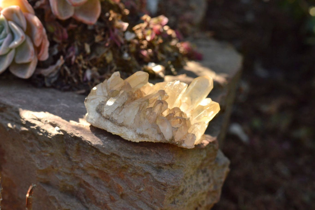 Natural Mixed Selection Of Small Quartz Clusters  x 24 From Madagascar - TopRock