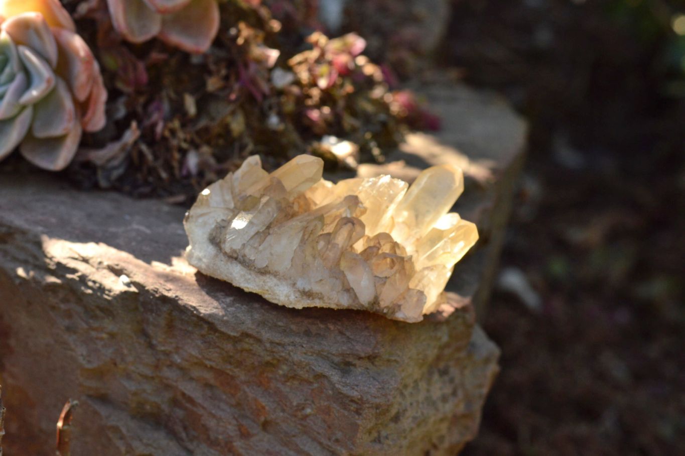 Natural Mixed Selection Of Small Quartz Clusters  x 24 From Madagascar - TopRock