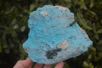Natural Botryoidal Chrysocolla Specimens x 2 From Congo - Toprock Gemstones and Minerals 