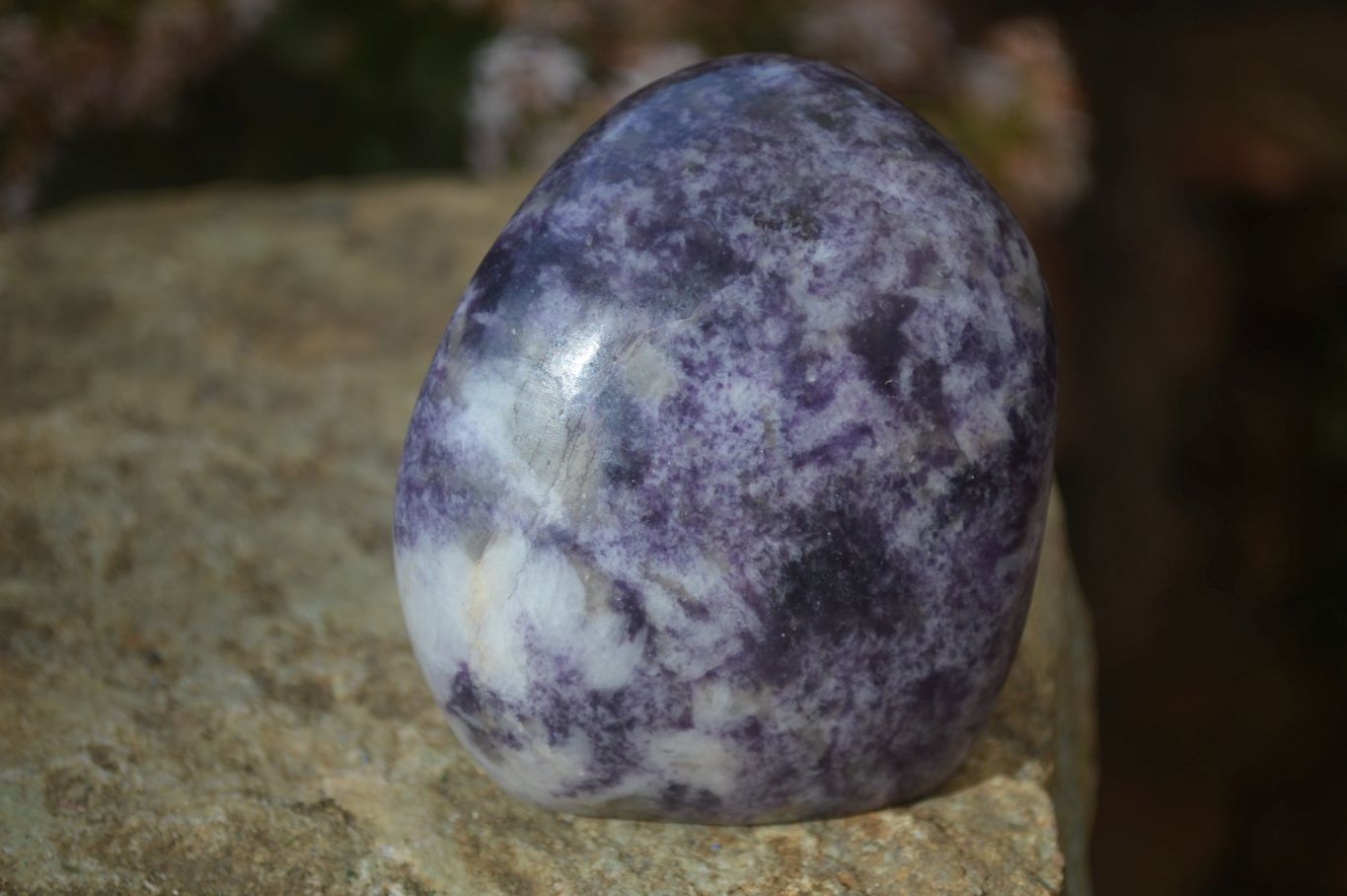 Polished Purple Lepidolite Standing Free Forms  x 3 From Zimbabwe - Toprock Gemstones and Minerals 