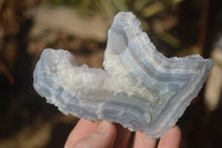 Natural Etched Blue Chalcedony Specimens  x 6 From Nsanje, Malawi - Toprock Gemstones and Minerals 