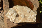 Natural Mixed Spirit Quartz Clusters  x 4 From Boekenhouthoek, South Africa - TopRock