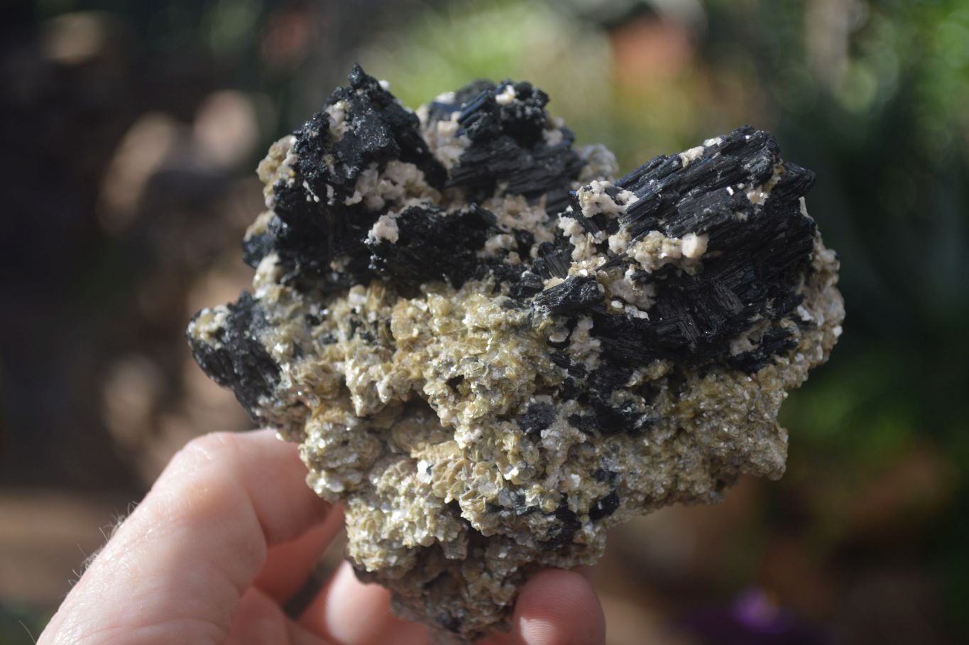 Natural Schorl Black Tourmaline With Vermiculite Specimens x 3 From Erongo, Namibia - Toprock Gemstones and Minerals 