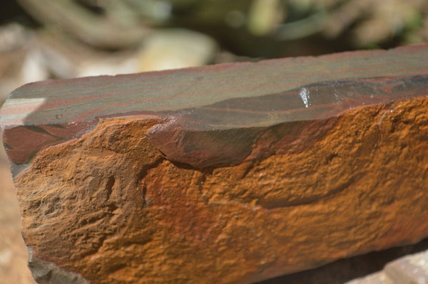 Natural Sliced Tigers Eye Specimen x 1 From Prieska, South Africa - Toprock Gemstones and Minerals 