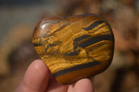 Polished Golden Tigers Eye Free Forms x 12 From Prieska, Northern Cape - Toprock Gemstones and Minerals 