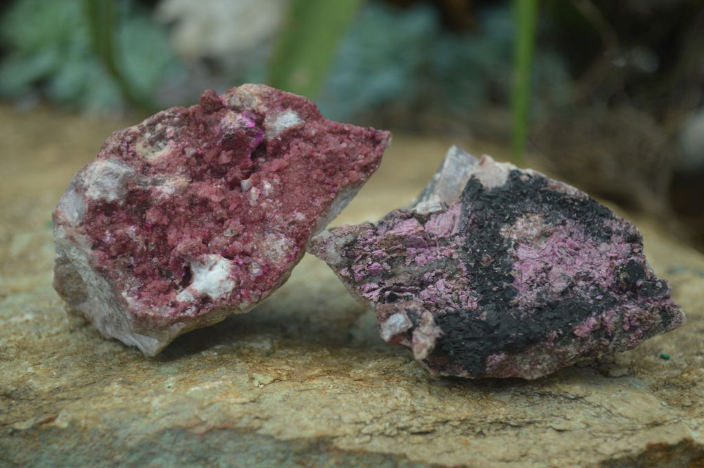 Natural Pink Salrose Cobaltion Dolomite Specimens  x 4 From Kakanda, Congo - Toprock Gemstones and Minerals 