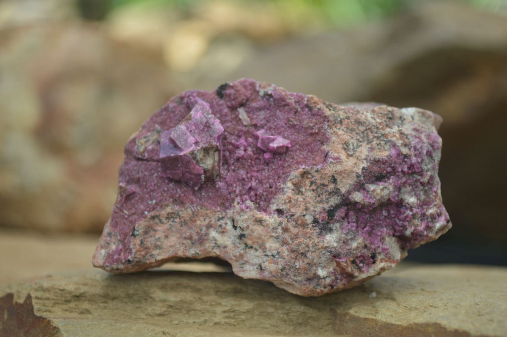 Natural Pink Salrose Cobaltion Dolomite Specimens  x 4 From Kakanda, Congo - Toprock Gemstones and Minerals 