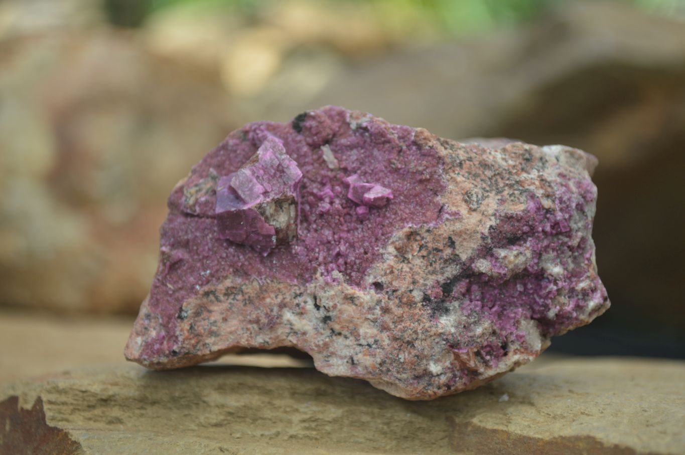 Natural Pink Salrose Cobaltion Dolomite Specimens  x 4 From Kakanda, Congo - Toprock Gemstones and Minerals 