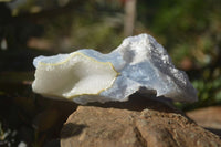 Natural Etched Blue Chalcedony Specimens  x 6 From Nsanje, Malawi - Toprock Gemstones and Minerals 