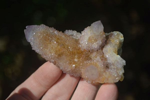 Natural Spirit Amethyst Quartz Specimens  x 12 From Boekenhouthoek, South Africa - Toprock Gemstones and Minerals 