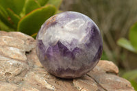 Polished Pair Of Dream Amethyst Spheres  x 2 From Madagascar - TopRock