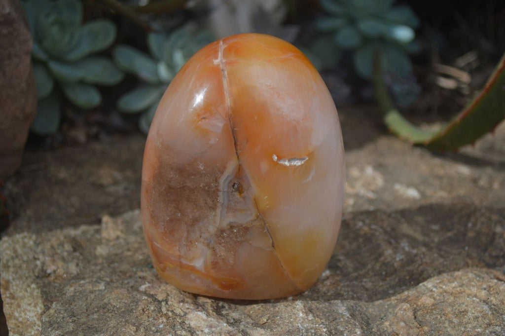 Polished Carnelian Agate Standing Free Forms  x 2 From Madagascar - Toprock Gemstones and Minerals 