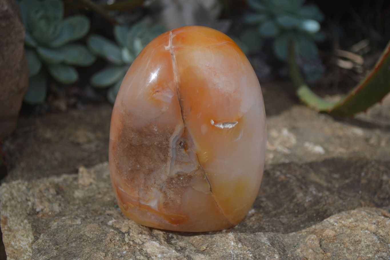 Polished Carnelian Agate Standing Free Forms  x 2 From Madagascar - Toprock Gemstones and Minerals 