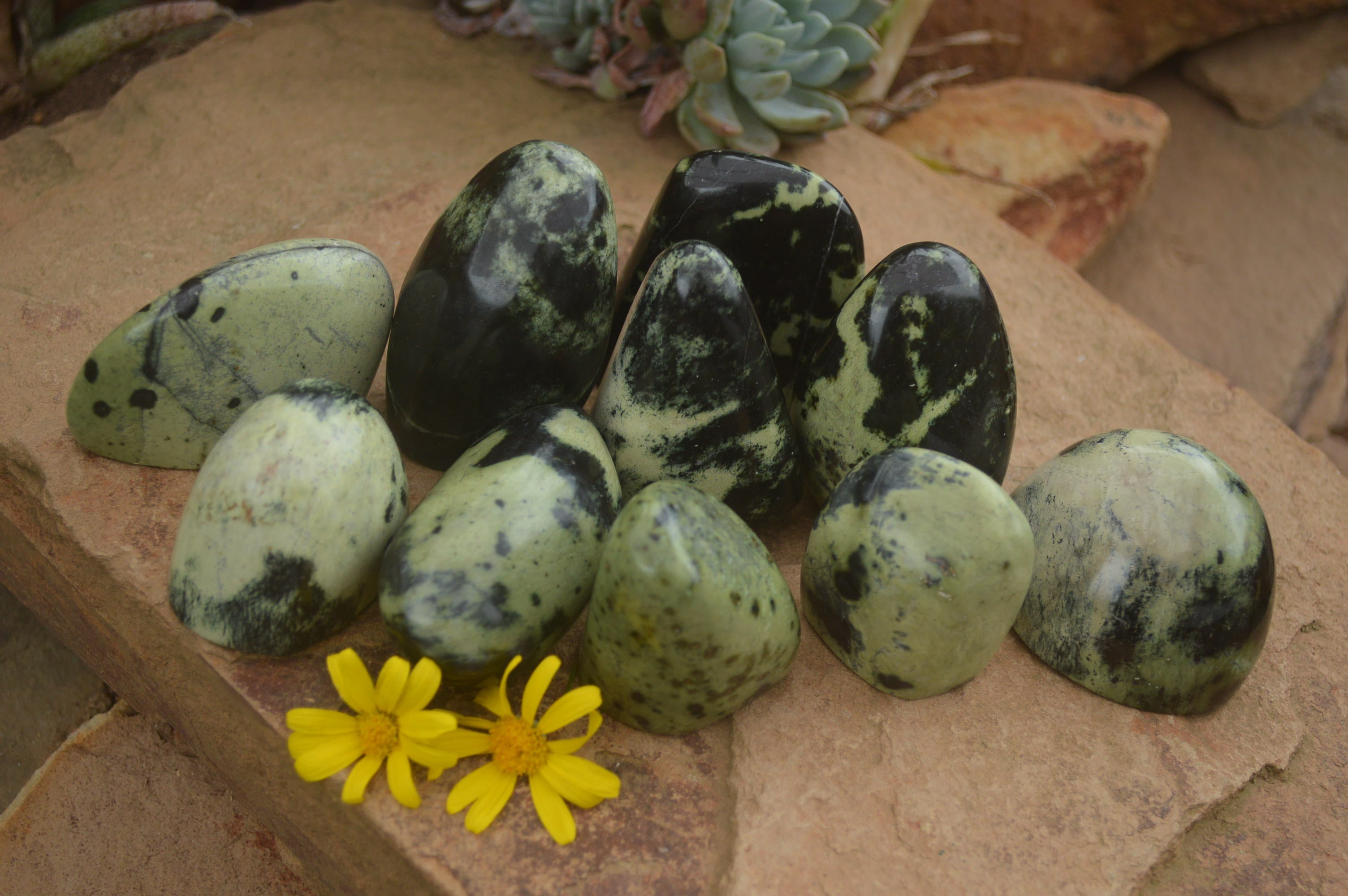 Polished Spotted Leopard stone Standing Free Forms  x 12 From Nyanga & Shamva, Zimbabwe - TopRock