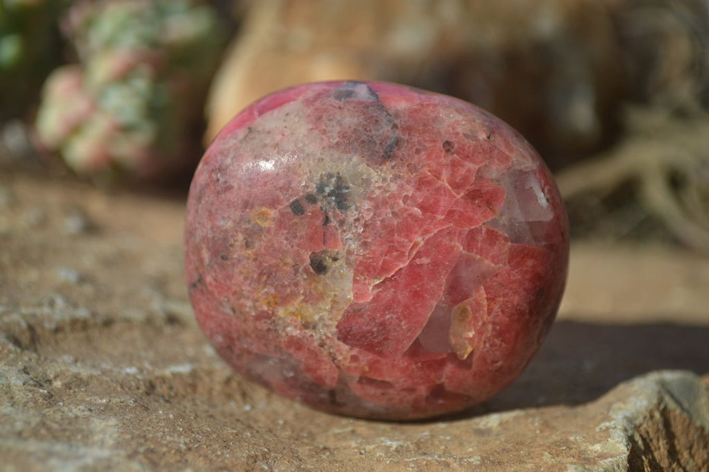 Polished Rhodonite Galet / Palm Stones x 12 From Zimbabwe - Toprock Gemstones and Minerals 