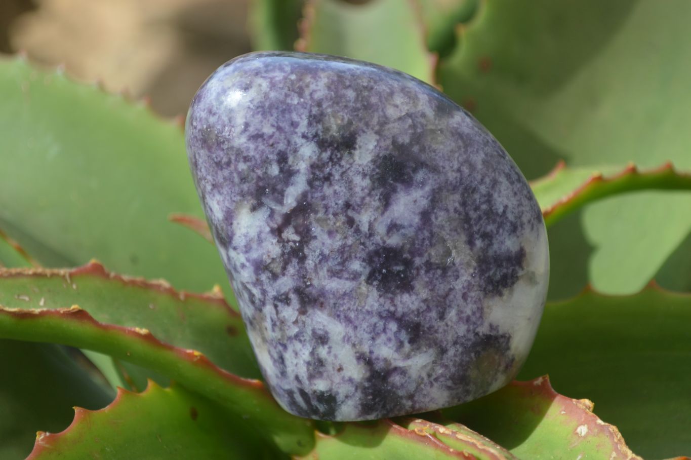 Polished Purple Lepidolite Standing Free Forms  x 3 From Zimbabwe - Toprock Gemstones and Minerals 