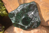 Polished Malachite Free Forms x 3 From Kolwezi, Congo - Toprock Gemstones and Minerals 