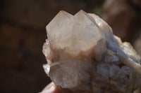 Natural Cascading Smokey Quartz Clusters x 2 From Luena, Congo - Toprock Gemstones and Minerals 